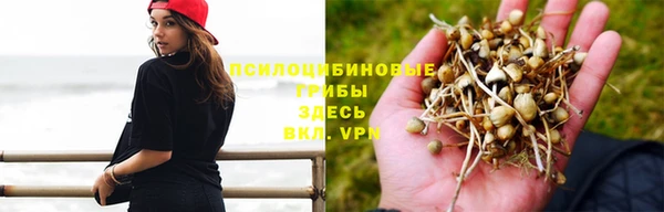 а пвп мука Балабаново